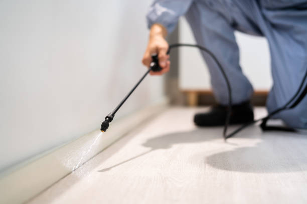 Certified termite inspector examining foundation in Fairview