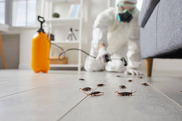 Post-Treatment Bed Bug Interceptor Monitoring in Fairview
