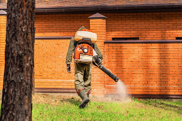 Bed Bug Clearance Verification and Documentation in Fairview
